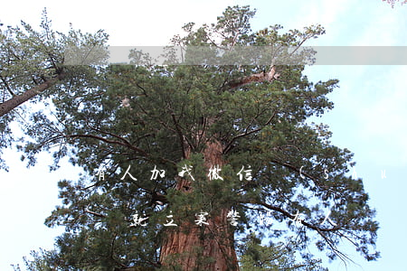 有人加我微信說(shuō)信用卡逾期,不還就立案，警惕！有人聲稱(chēng)信用卡逾期不還將被立案，如何應(yīng)對(duì)？